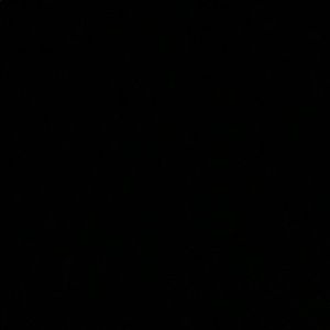 Meet your Posher, Charlotte